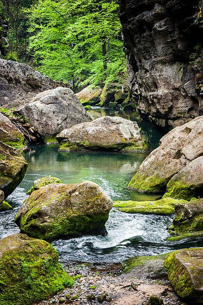 rio kamenice - narodni park imagens e fotografias de stock