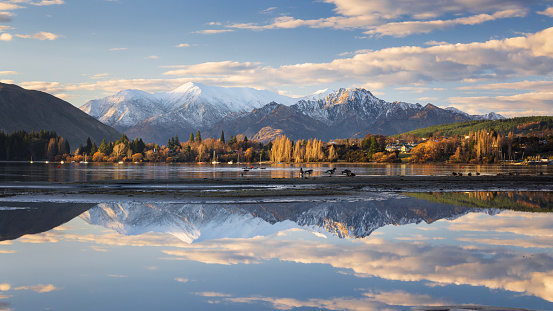 Looking across Lake Wanaka to the eastern shore of the Wanaka township, with snow-capped peaks in the background. The lake level is low and raised beds of sand create still pools of water that give perfect reflections of the mountains. Canadian geese and ducks enjoy this island in the water.