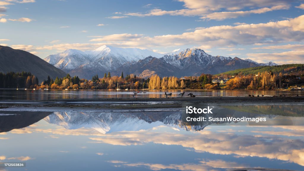 Wanaka township, New Zealand Looking across Lake Wanaka to the eastern shore of the Wanaka township, with snow-capped peaks in the background. The lake level is low and raised beds of sand create still pools of water that give perfect reflections of the mountains. Canadian geese and ducks enjoy this island in the water. New Zealand Stock Photo