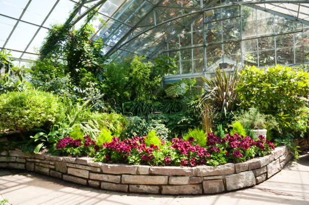 istock Garden Beds in the Greenhouse 171250457