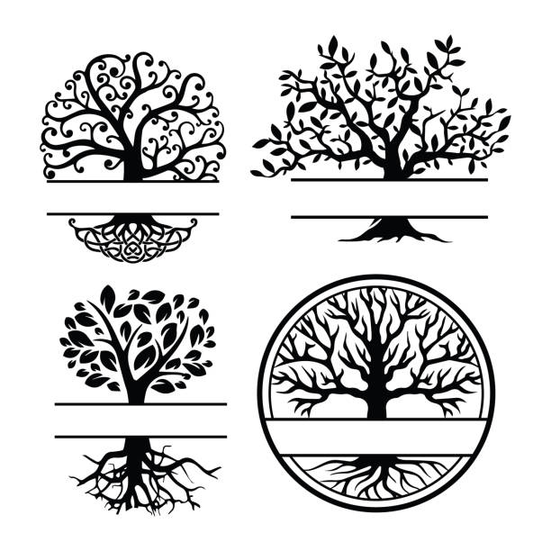 zestaw szablonu wektorowego sylwetki drzewa genealogicznego. - tree root family tree family stock illustrations
