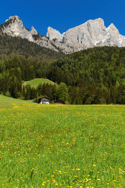 istock Summer in the Dolomites, Italy 171251405