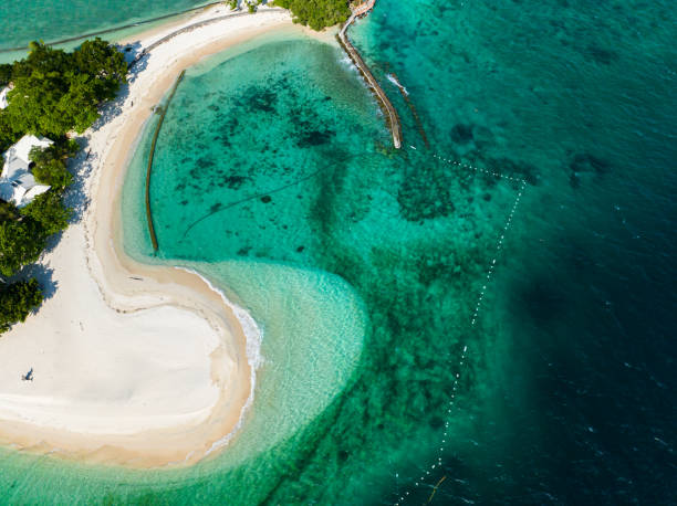 istock Island with white sandy beach in Samal, Davao. Philippines. 1712514149