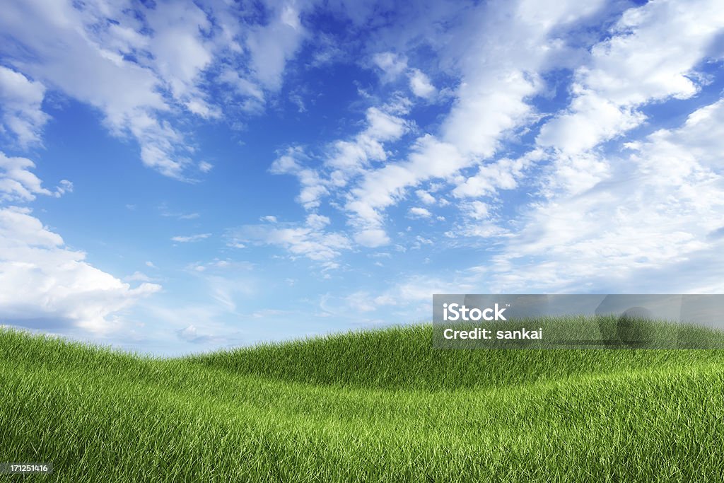 Grünen Wiese unter blauem Himmel - Lizenzfrei Anhöhe Stock-Foto