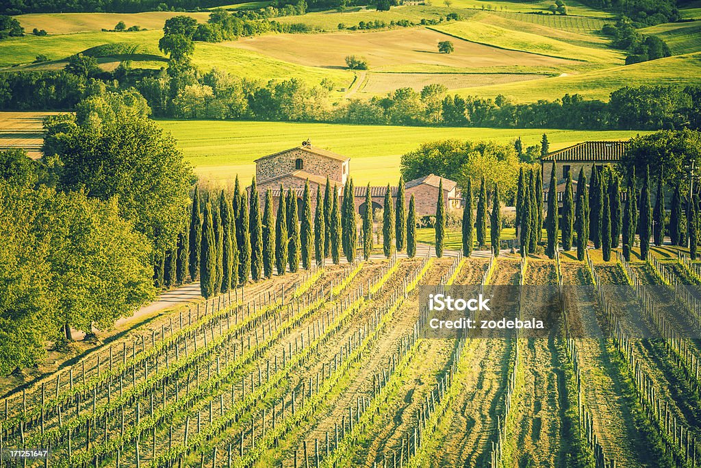 Fattoria e vigneti, Toscana, Valle del Chianti - Foto stock royalty-free di Toscana - Italia