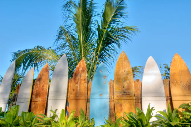 istock Surfboard fence lit by sunrise 171252216