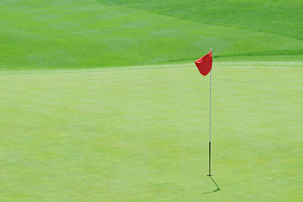 ゴルフグリーン-xl - putting green practicing putting flag ストックフォトと画像