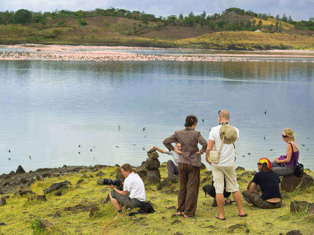 Big Momella lake "Tourists waching Flamingos on Bigl Momella lake in the Arusha National Park, Tanzania." arusha region stock pictures, royalty-free photos & images