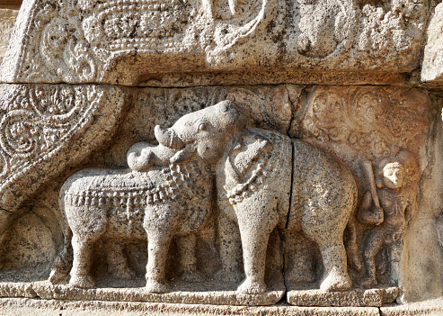 Bas relief Optical illusion carving of Bull and Elephant sculpture at Airavatesvara Temple in Darasuram, Kumbakonam, Tamilnadu.