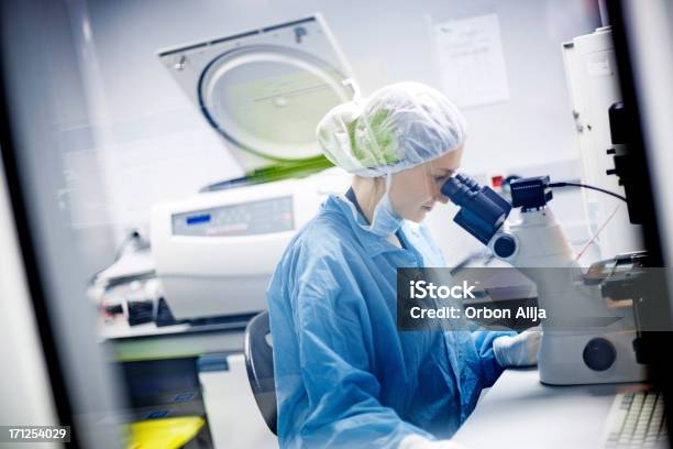실험실에서 일 하는 여자 현미경에 대한 스톡 사진 및 기타 이미지 - 현미경, 물건을 통해 봄, 병원