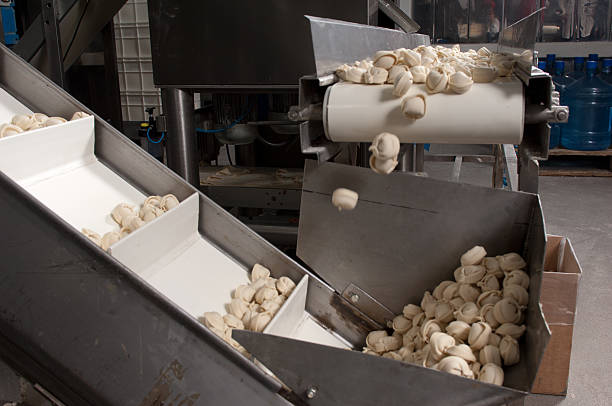 istock Food production line with pasta parcels 171254259