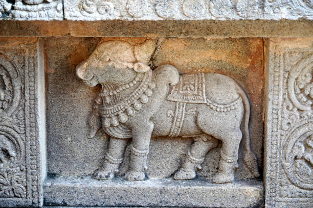 Bull sculpture carved in stone wall at Airavatesvara Temple in Darasuram, Kumbakonam, Tamilnadu. Historic Relief carving of wild animal in ancient Hindu temple at India.