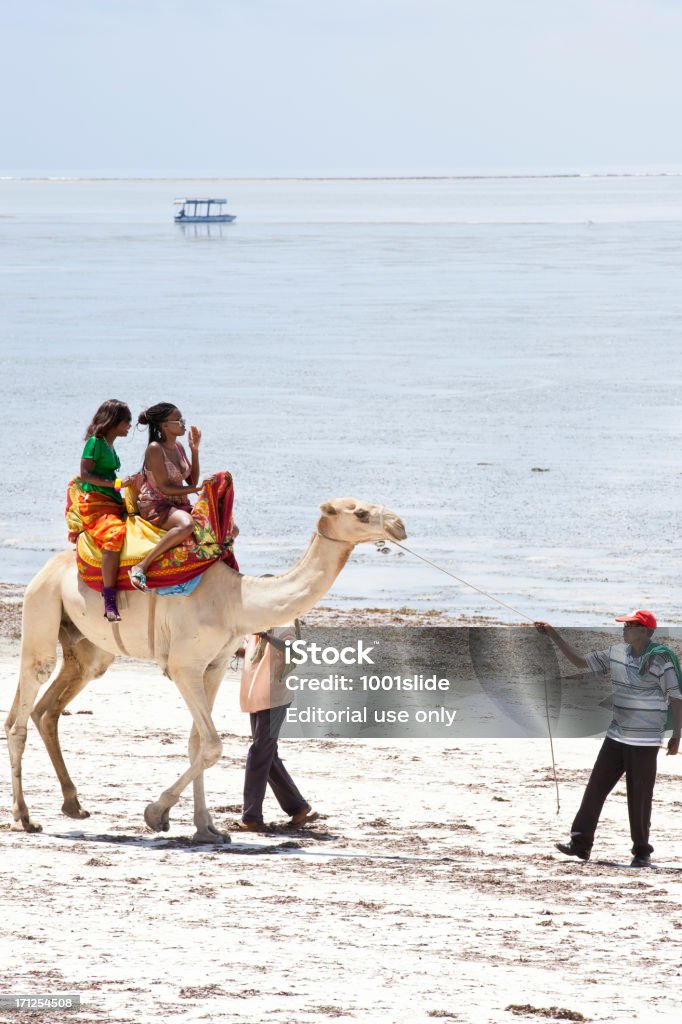 Camelos na praia de carros - Royalty-free Praia de Bamburi Foto de stock