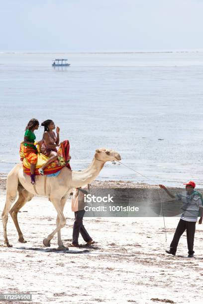 Camelos Na Praia De Carros - Fotografias de stock e mais imagens de Praia de Bamburi - Praia de Bamburi, Adulto, Amarelo