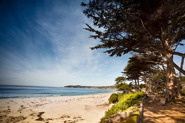 istock Carmel Beach in Carmel-by-the-Sea 171254542