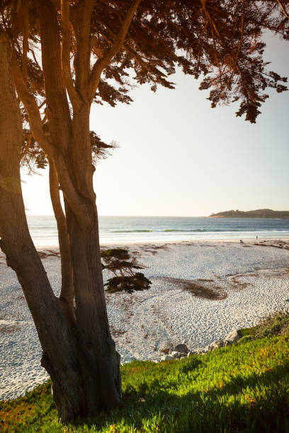 istock Carmel Beach in Carmel-by-the-Sea 171254553