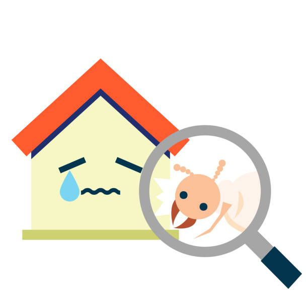istock Vector icon illustration of a house with white ant damage (with facial expression) 1712546336