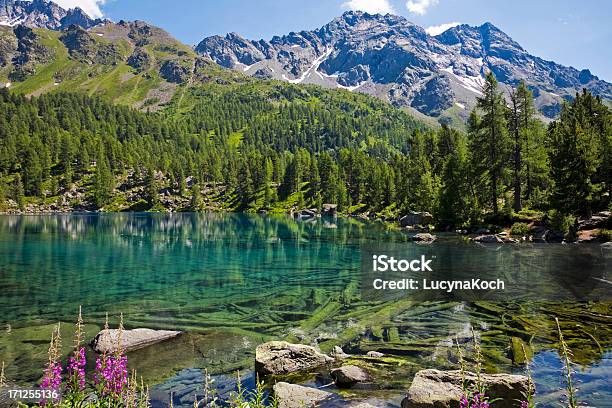 Mountain Lake Stockfoto und mehr Bilder von Schweiz - Schweiz, Berg, Blume