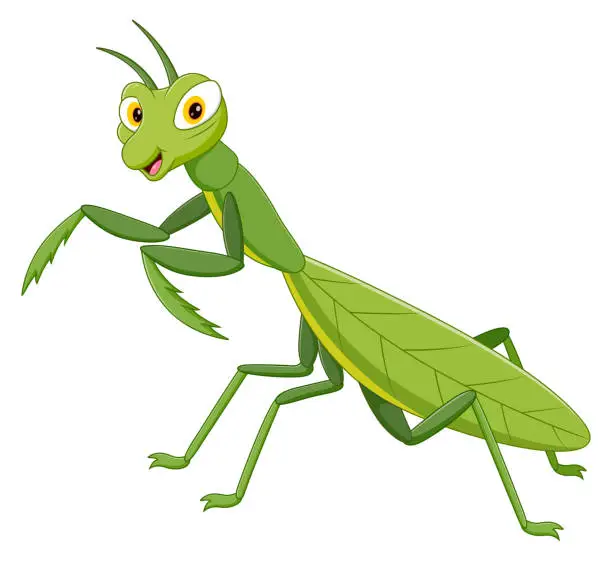 Vector illustration of Cute cartoon green mantis. Vector illustration