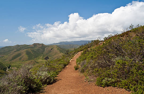 marin przylądki trail - marin headlands zdjęcia i obrazy z banku zdjęć