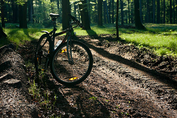 istock bike in the forest 171256451