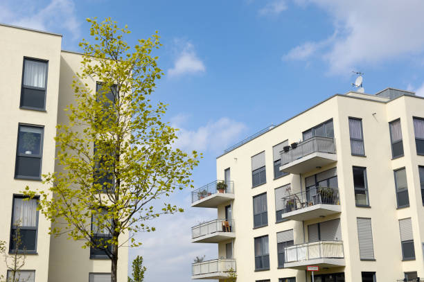 istock Two new yellow apartment houses and vernal tree 171256571