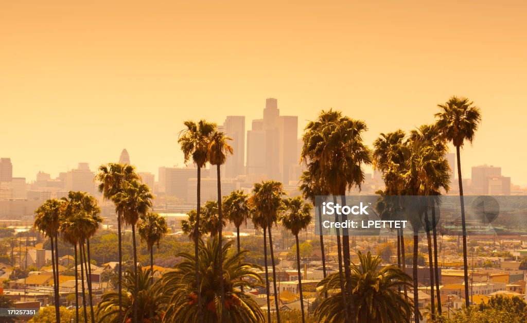 Los Angeles con palme al tramonto in primo piano - Foto stock royalty-free di Los Angeles - Città