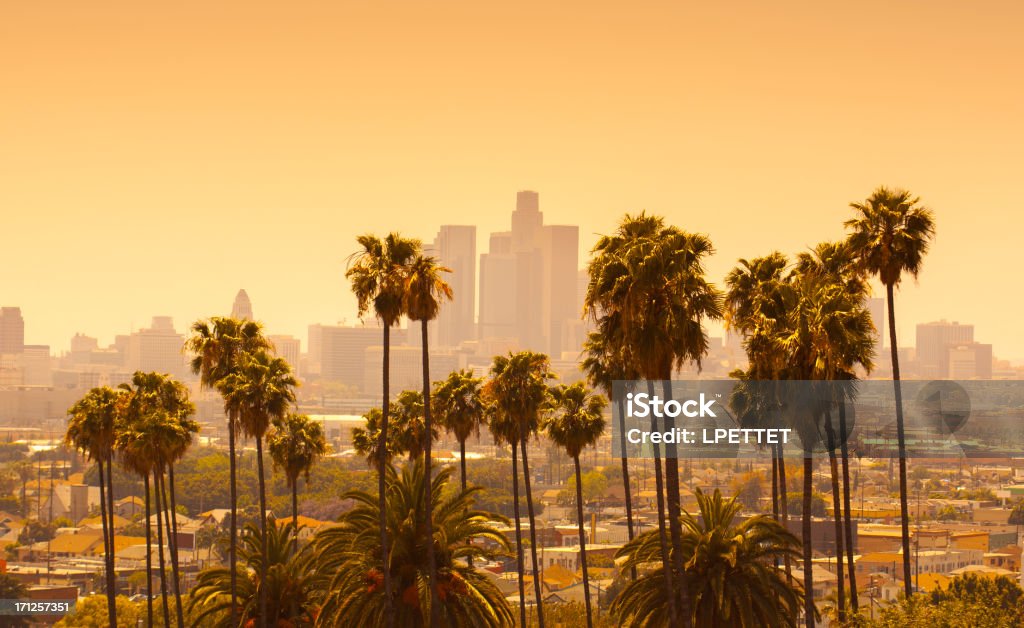 Los Angeles with palm trees in foreground at sunset A view of Downtown Los Angeles City Of Los Angeles Stock Photo