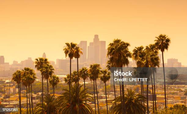 Los Angeles Com Árvores De Palma Ao Pôr Do Sol Em Primeiro Plano - Fotografias de stock e mais imagens de Cidade de Los Angeles