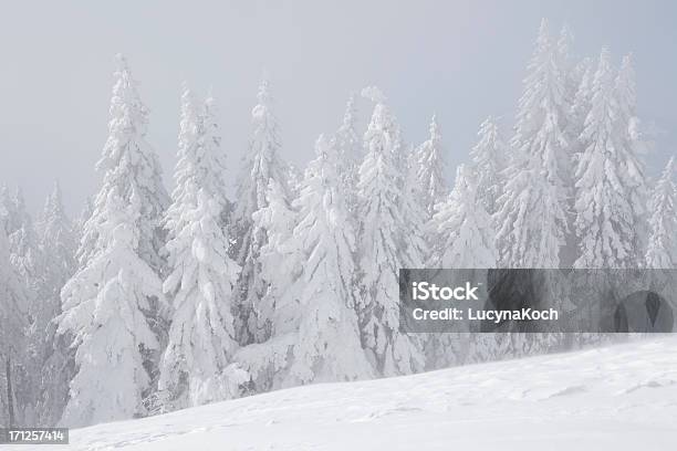 Photo libre de droit de Tempête De Neige Dans Les Montagnes banque d'images et plus d'images libres de droit de Affluence - Affluence, Alpes européennes, Arbre