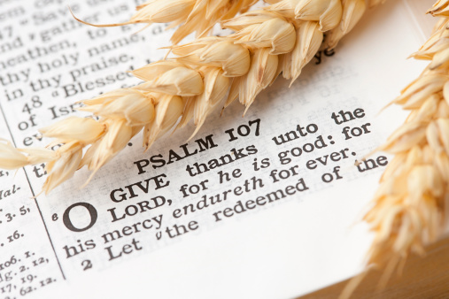 A close up of a KJV Bible open to Psalm 107 with wheat.