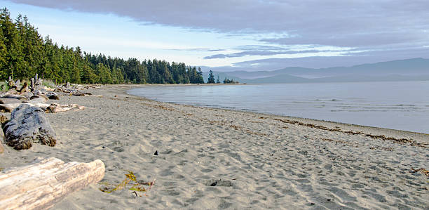 istock Rathtrevor Park and  Beach Scene 171258096