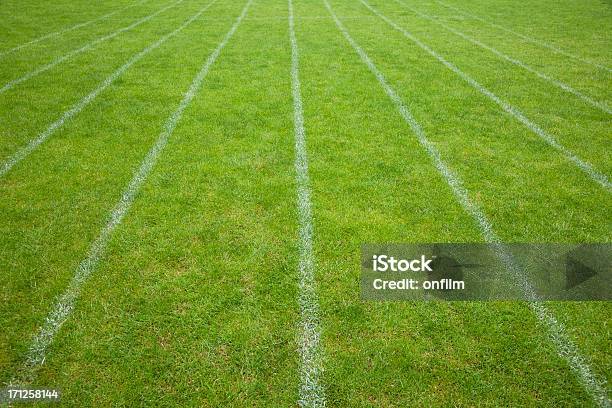 Trawa Lekkoatletyka Bieżnia - zdjęcia stockowe i więcej obrazów Bieżnia - Bieżnia, Trawa, Sportowy tor