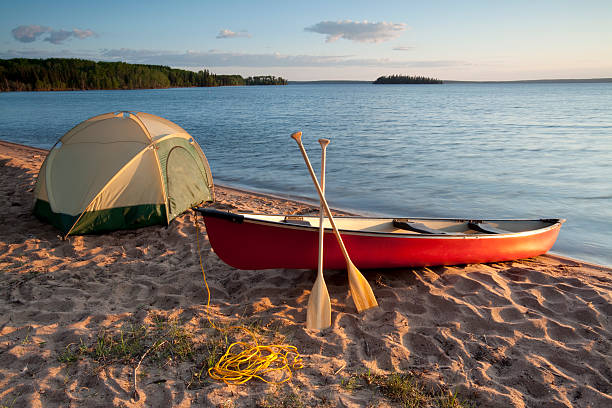 parque nacional do príncipe alberto - canadian beach imagens e fotografias de stock