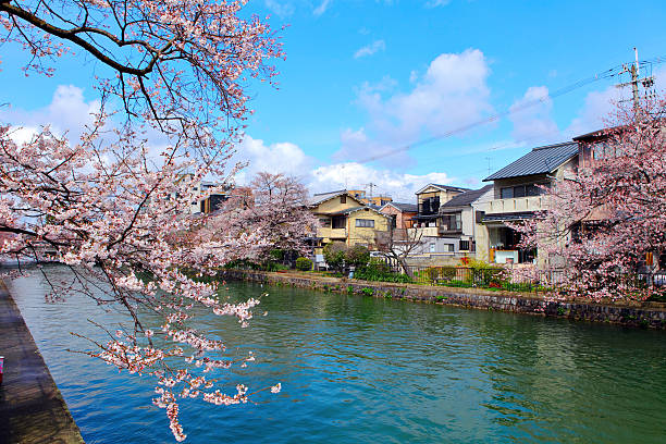 istock Kyoto city 171258638