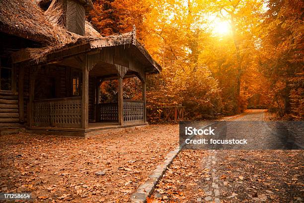 Autunno Una Panchina In Ungheria - Fotografie stock e altre immagini di Albero - Albero, Albero deciduo, Arancione