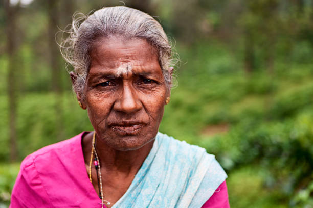 istock Tamil tea pickers collecting leaves, Sri Lanka 171259415