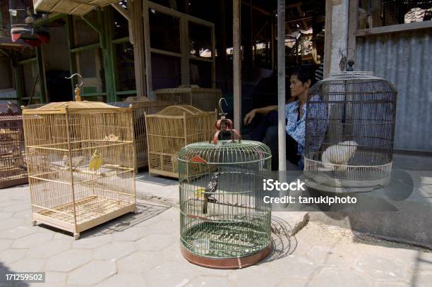 Birdmarkt Stockfoto und mehr Bilder von Asien - Asien, Ausverkauf, Editorial