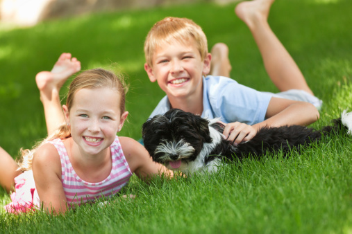 Subject: Children playing with family pet dog in their backyard lawn.