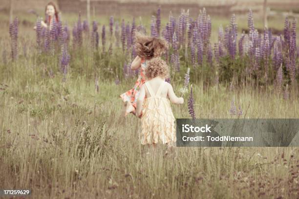 Tre Belle Ragazze In Esecuzione Con Fiori Di Campo - Fotografie stock e altre immagini di 2-3 anni - 2-3 anni, Allegro, Ambientazione esterna