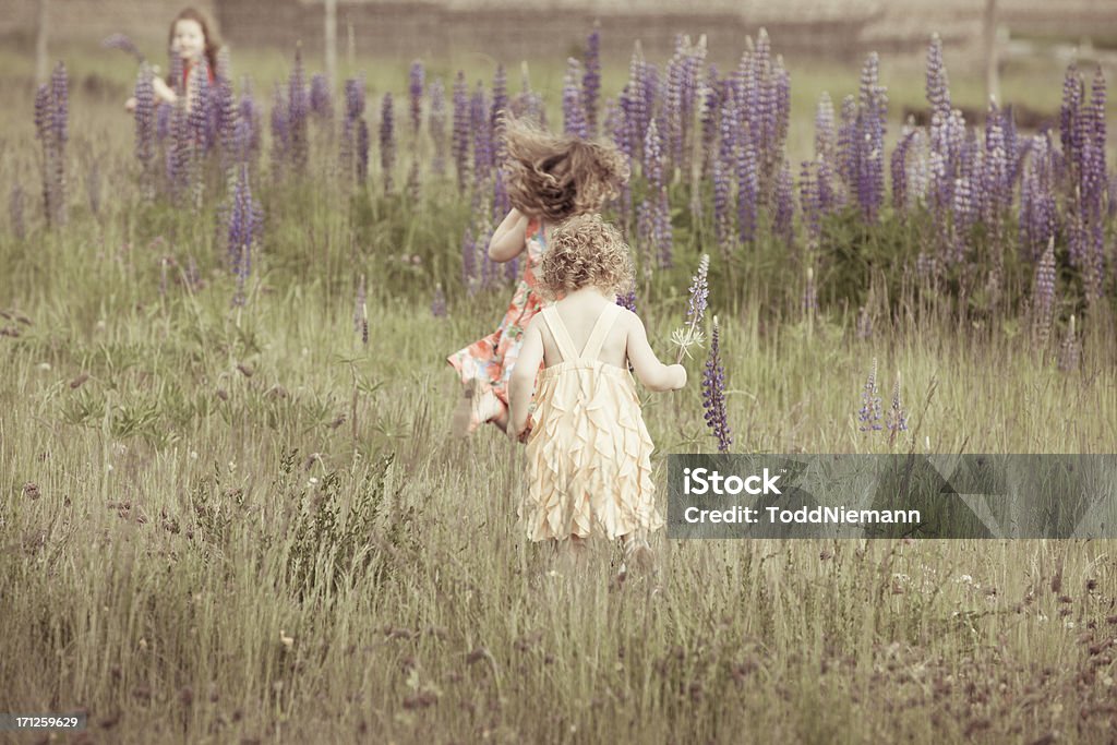 Três lindas meninas correndo através do campo de flor - Foto de stock de 2-3 Anos royalty-free