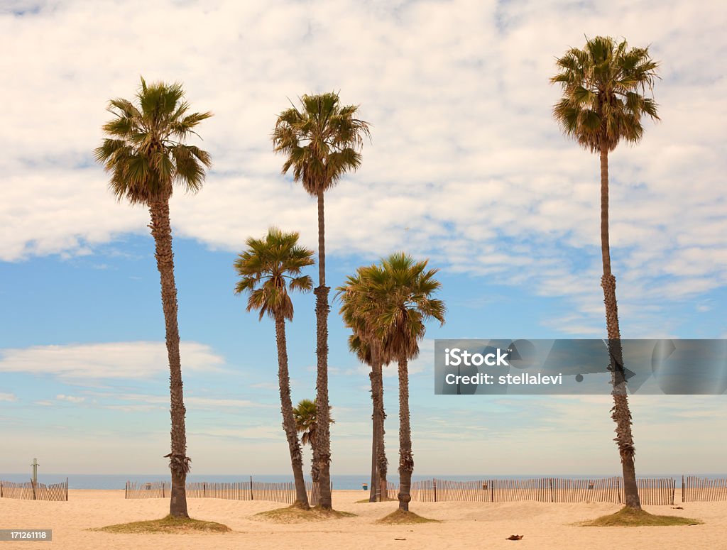 Santa Monica Beach - Zbiór zdjęć royalty-free (Santa Monica Beach)