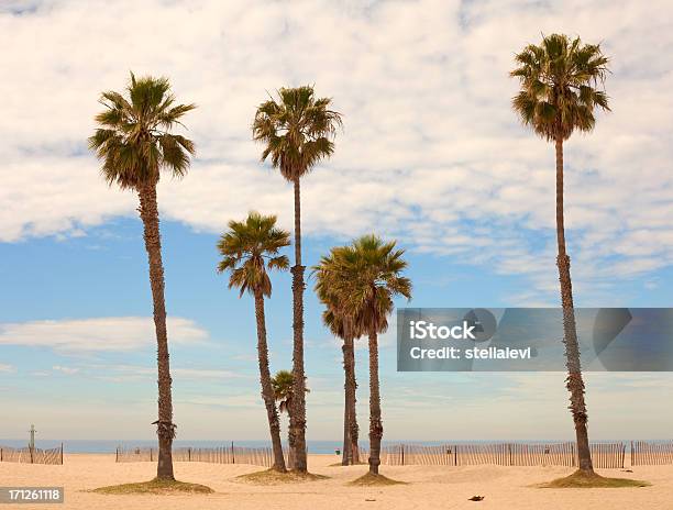 Santa Monica Beach - zdjęcia stockowe i więcej obrazów Santa Monica Beach - Santa Monica Beach, Fotografika, Horyzontalny