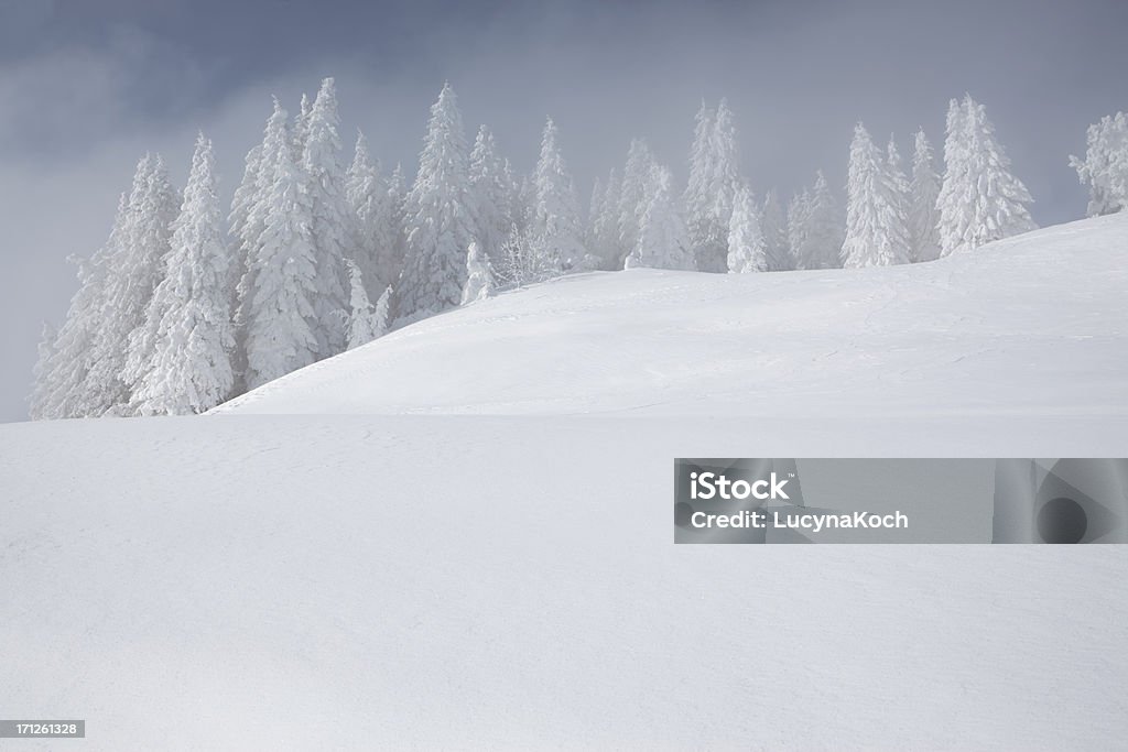 Schneesturm in den Bergen - Lizenzfrei Alpen Stock-Foto