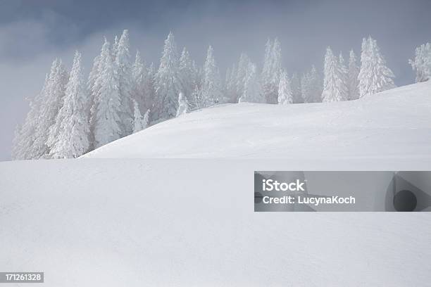 Schneesturm In Den Bergen Stockfoto und mehr Bilder von Alpen - Alpen, Baum, Beengt