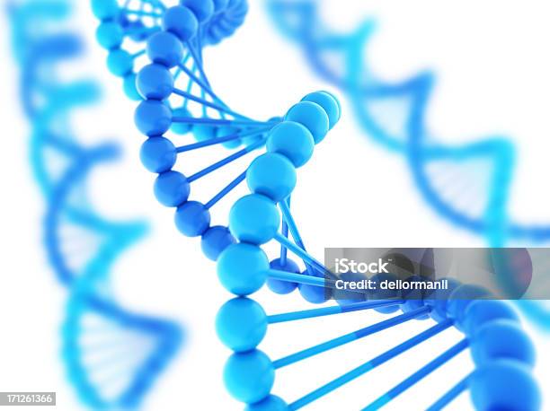 デジタル Dna 撚り線のさまざまな色合いを持つブルー - DNAのストックフォトや画像を多数ご用意 - DNA, ヘリックス模型, らせん