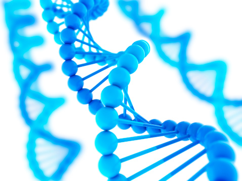 Digitally Generated DNA Strands