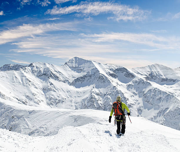 istock breath taking winter landscape 171261555