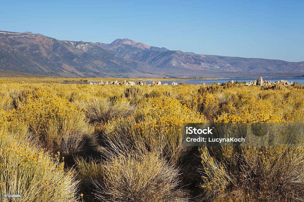 Lago Mono Paisagem - Royalty-free Amarelo Foto de stock