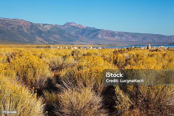 Lago Mono Paisagem - Fotografias de stock e mais imagens de Amarelo - Amarelo, Animal, Ao Ar Livre